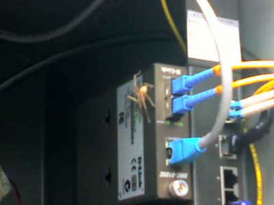 Источник кадров