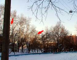 Оборудование VDSL. Зарисовки протяжек, продолжение