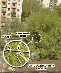 Издевательство над 10base-T