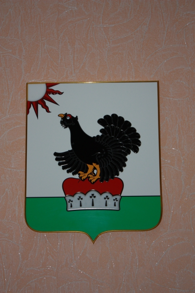Оптика идет в райцентр