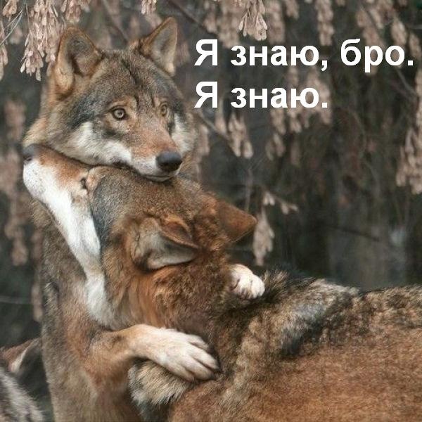 Нюансы стагнации. Переработанная версия доклада