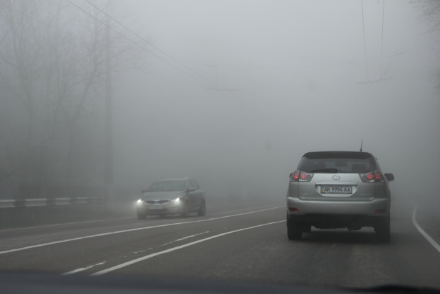 Крым няш