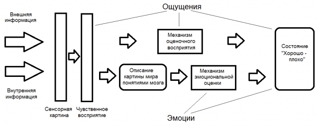 Индекс НАГ: как воспитать клиента