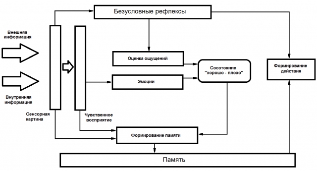 Индекс НАГ: как воспитать клиента