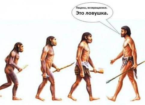 Сдаёмся по-новому
