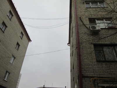 Живой ужастик