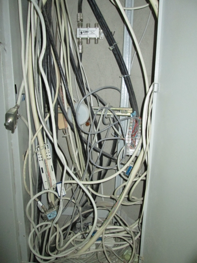 Скрытая жизнь пачух