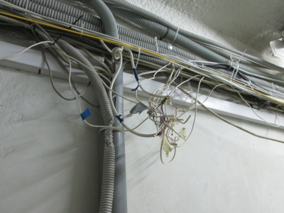 Горгона XXI века