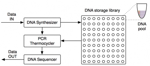 Microsoft планирует решить проблему больших данных с помощью синтетической ДНК
