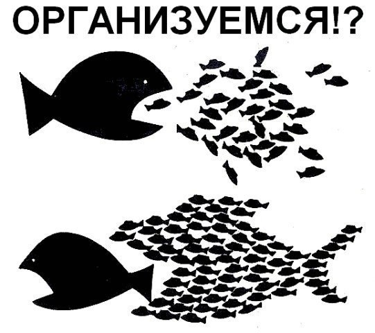 Первая Яровая