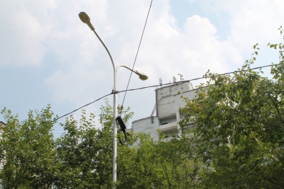 Городское
