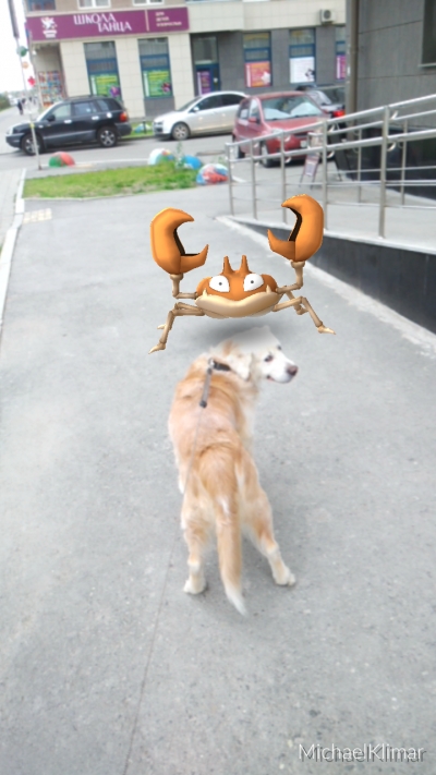 Go, Pokemon! GO!