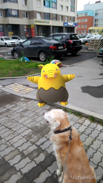 Go, Pokemon! GO!