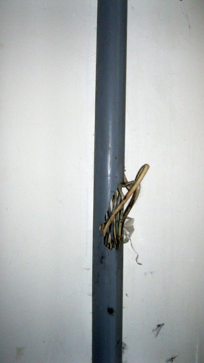 Домовая сеть