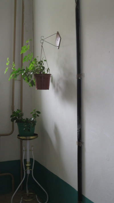 Красота в подъезде