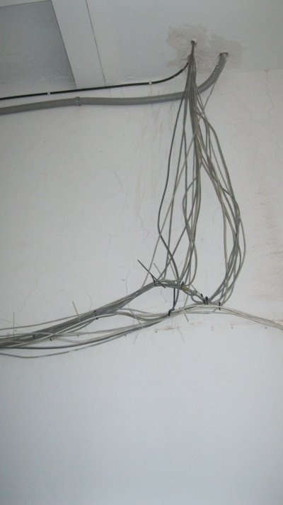 Стоячки. Подъездный фотоэтюд