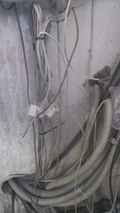 Стоячки. Подъездный фотоэтюд