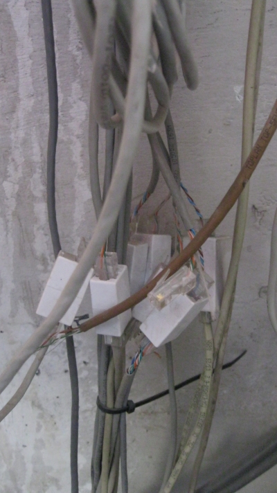 Стоячки. Подъездный фотоэтюд