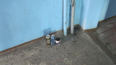 Отремонтированный дом