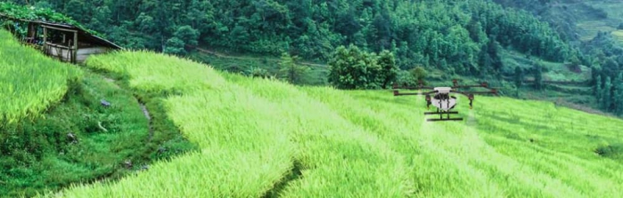 Фермерство будущего: автоматизация и IoT