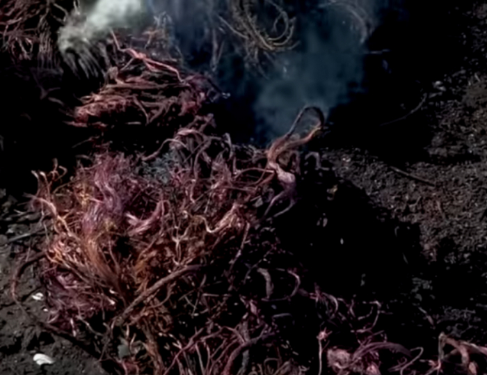 В ЮАР кража кабеля карается строже, чем убийство, но хищения продолжаются