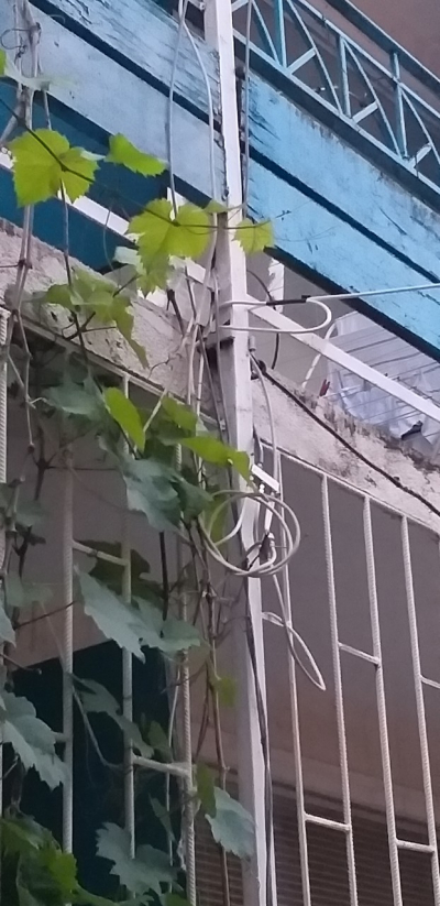 Это не Россия, это Болгария