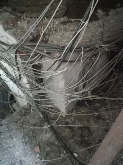 Чердачные приключения