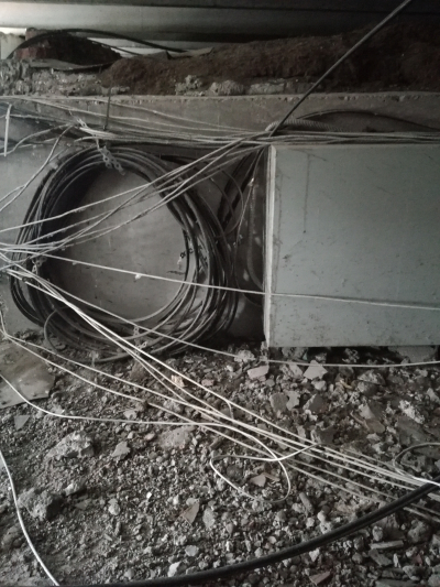 Чердачные приключения