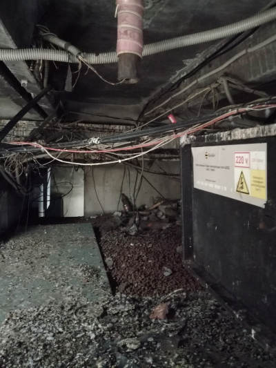 Чердачные приключения