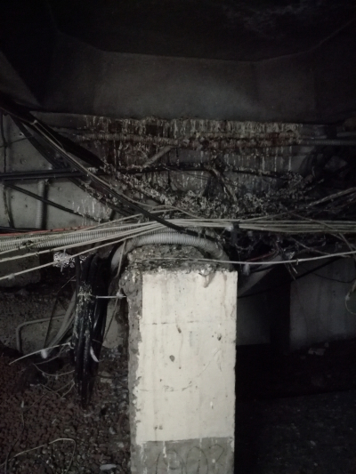 Чердачные приключения