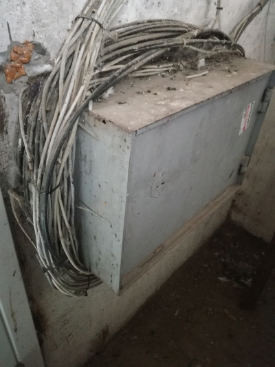 Чердачные приключения