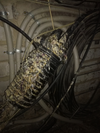 Чердачные приключения