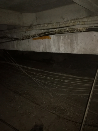 Чердачные приключения