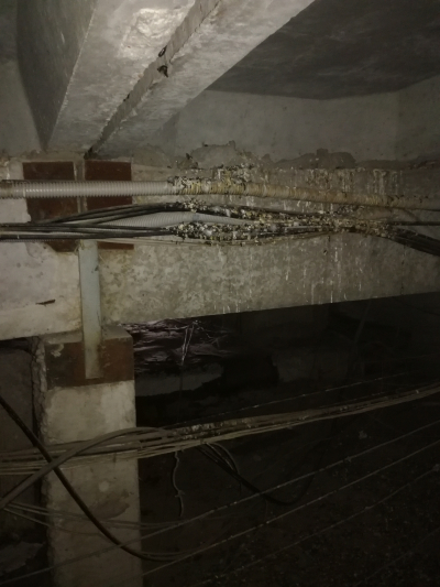 Чердачные приключения