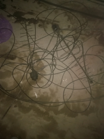 Чердачные приключения