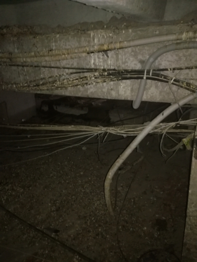 Чердачные приключения