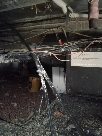 Чердачные приключения