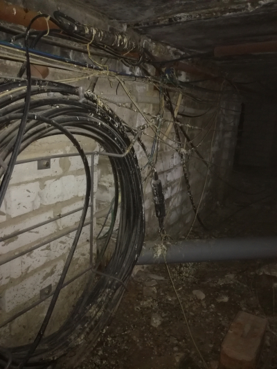 Чердачные приключения