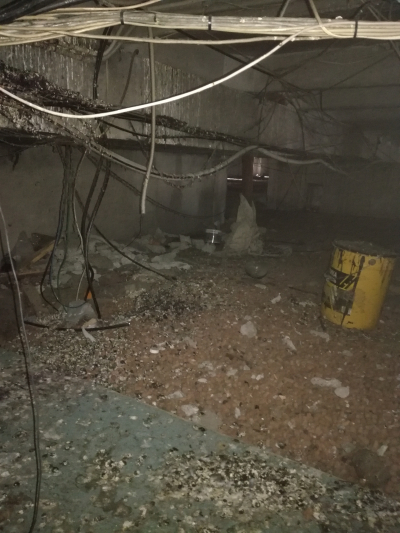 Чердачные приключения