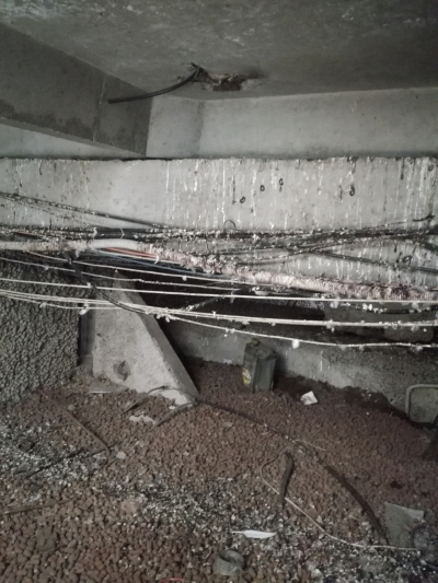 Чердачные приключения