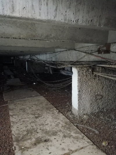 Чердачные приключения