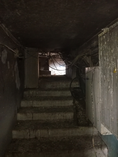 Чердачные приключения