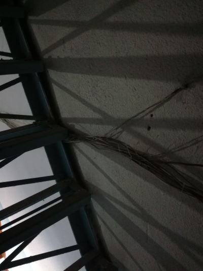 ВОЛС и витуха