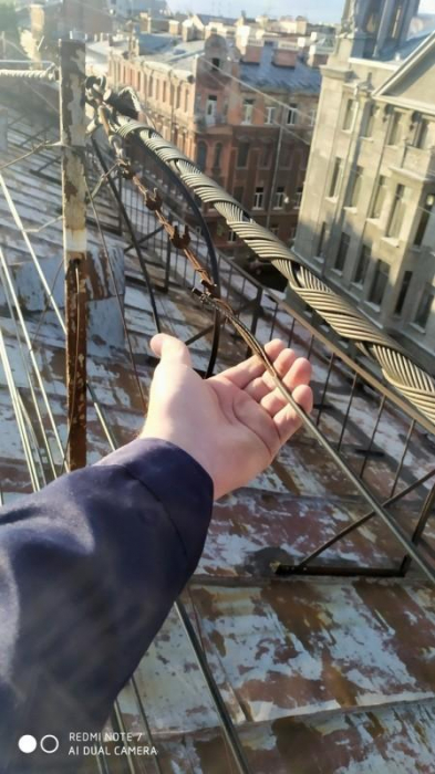 В гостях у Хаски