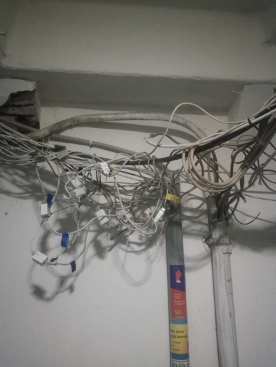 Домовая сеть