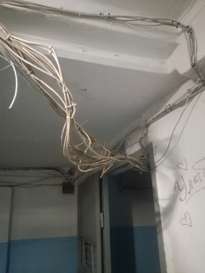 Домовая сеть