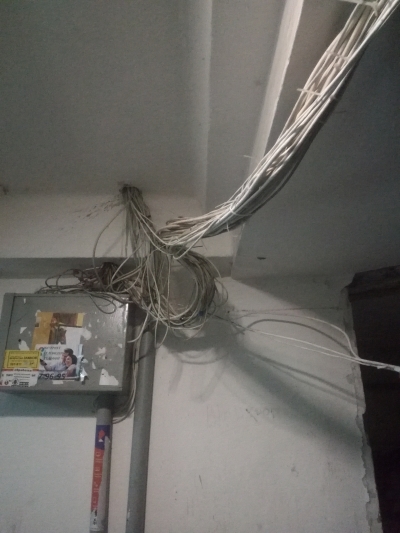 Домовая сеть