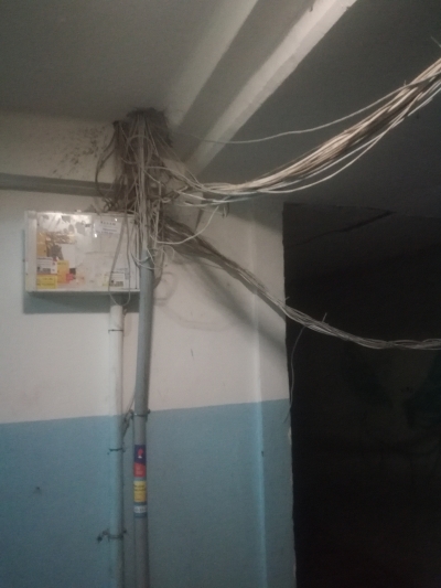 Домовая сеть