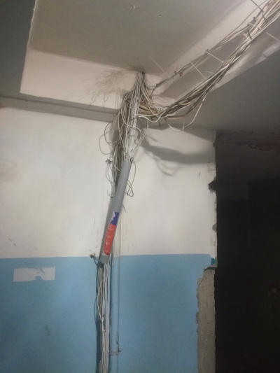 Домовая сеть