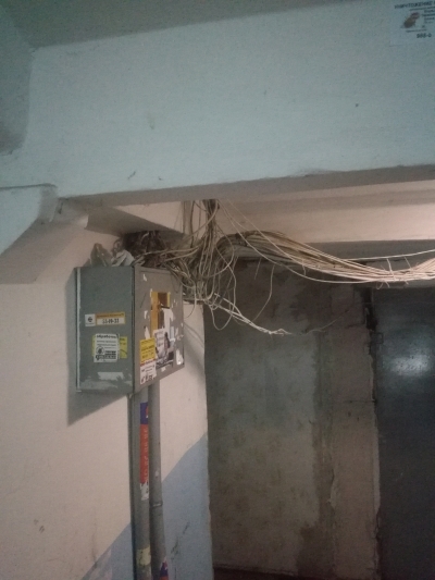 Домовая сеть